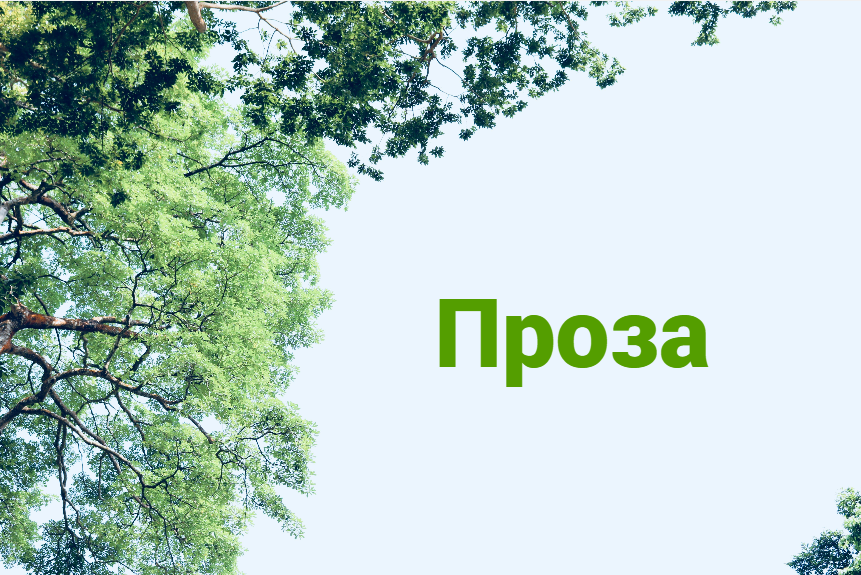 Виды прозы: классификация и особенности