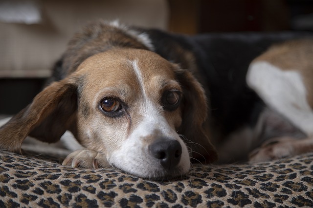 Как написать сочинение-рассуждение: пошаговое руководство